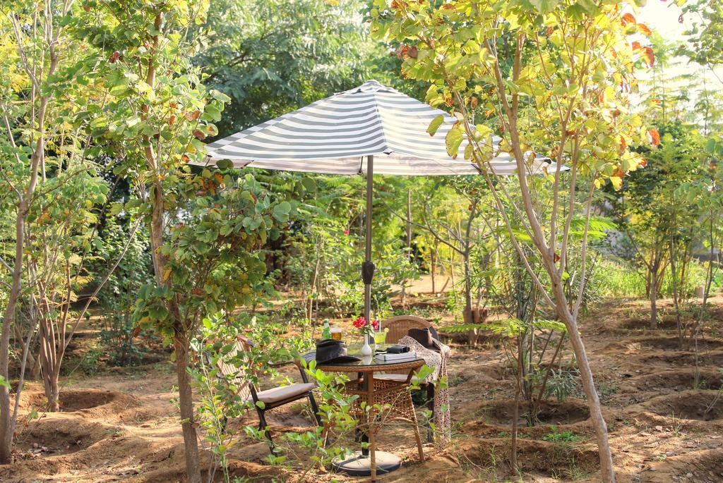 Ranthambhore Kothi ساواي مادهوبور المظهر الخارجي الصورة