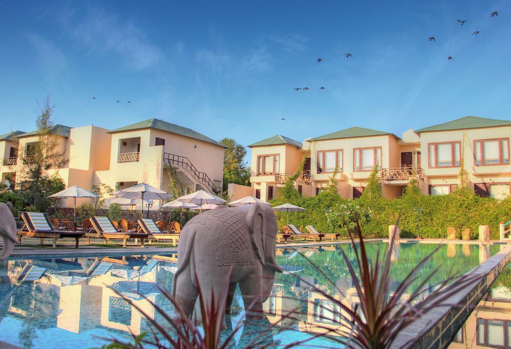 Ranthambhore Kothi ساواي مادهوبور المظهر الخارجي الصورة