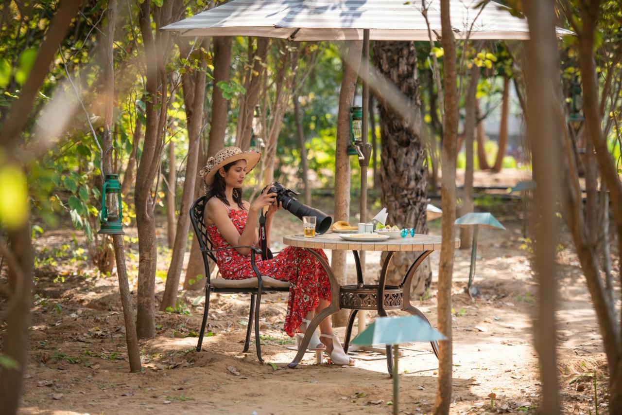 Ranthambhore Kothi ساواي مادهوبور المظهر الخارجي الصورة
